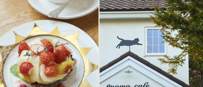 momo café